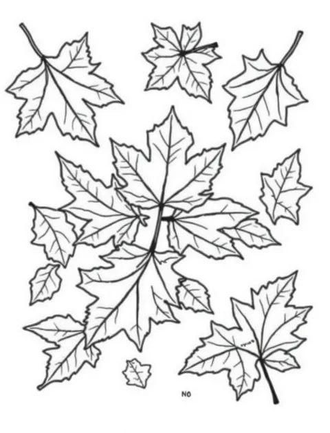 Black-and-white line-art coloring page of scattered autumn leaves